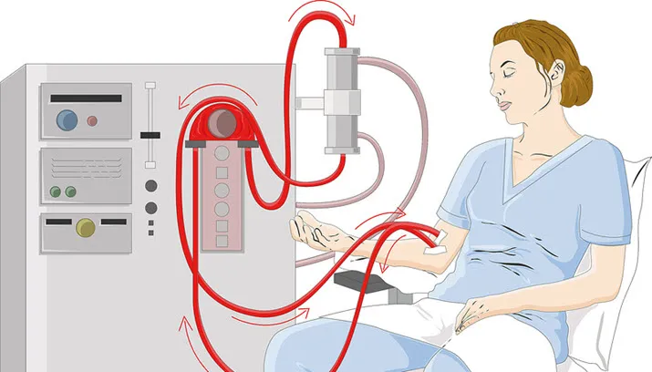 servier medical art via fotercom cc by