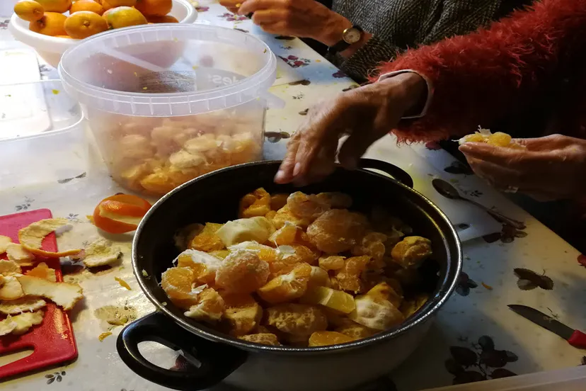 sinaasappels pellen foto nicole burgers