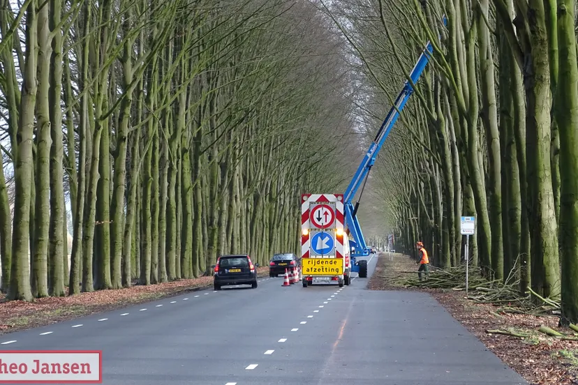 snoeiwerkzaamheden beuken middachterallee 11 02 2019 2