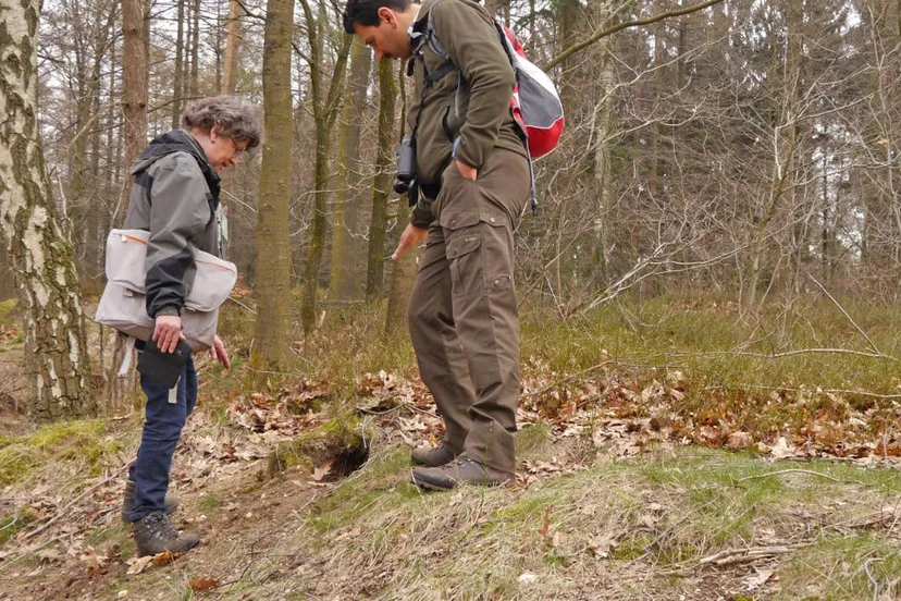 speuren naar sporen ivn oost veluwezoom
