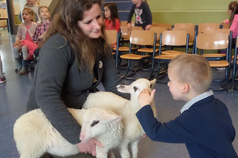 sponsorcontract mauritiusschool rhedense schaapskudde