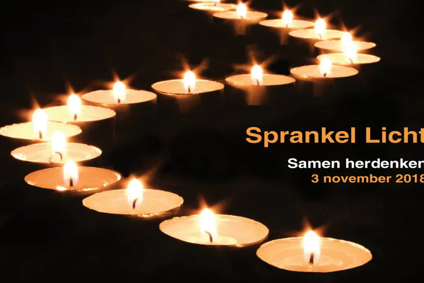 sprankel licht annemiek hellings