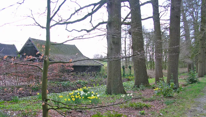stinsenplanten ivn oost veluwezoom gerrit de jong