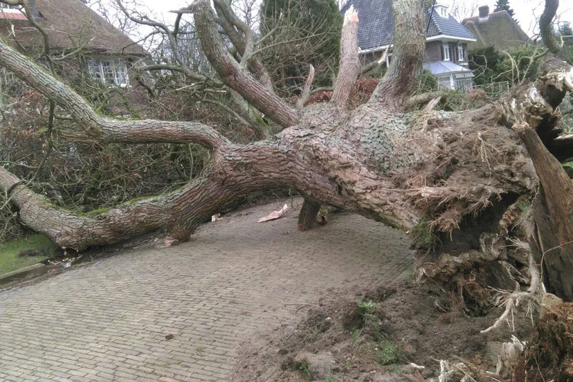 stormschade gemeente rheden 1
