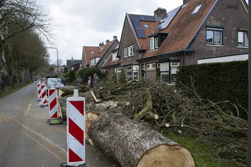 stormschade velp rozendaal sarina scheper persbureau heitink 0