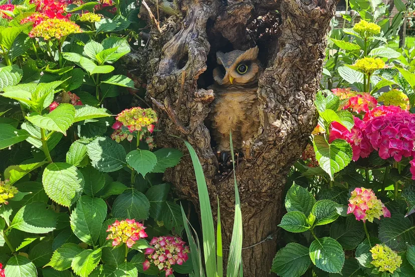 straatkunst boomspiegel