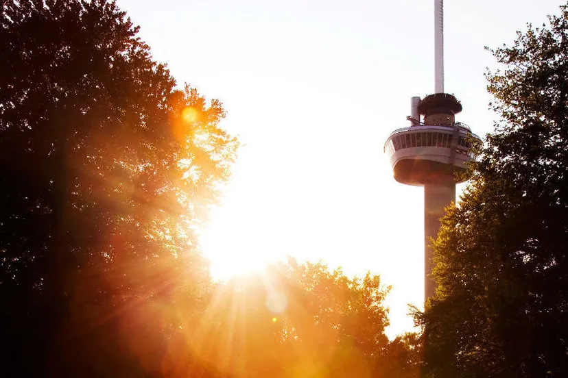 t03uh8oargprd7a5y7uvfuxmf zon 3