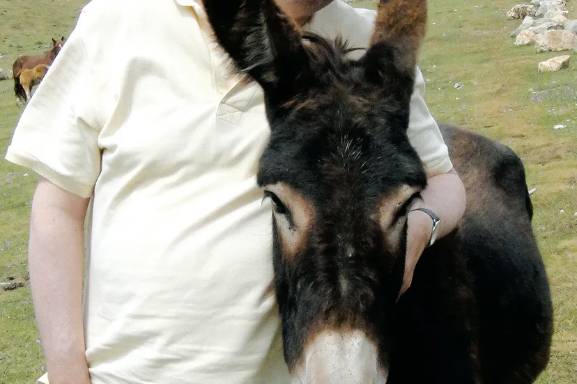 tcib3xzvk28xxfv37gml75gx4 groot ger 3