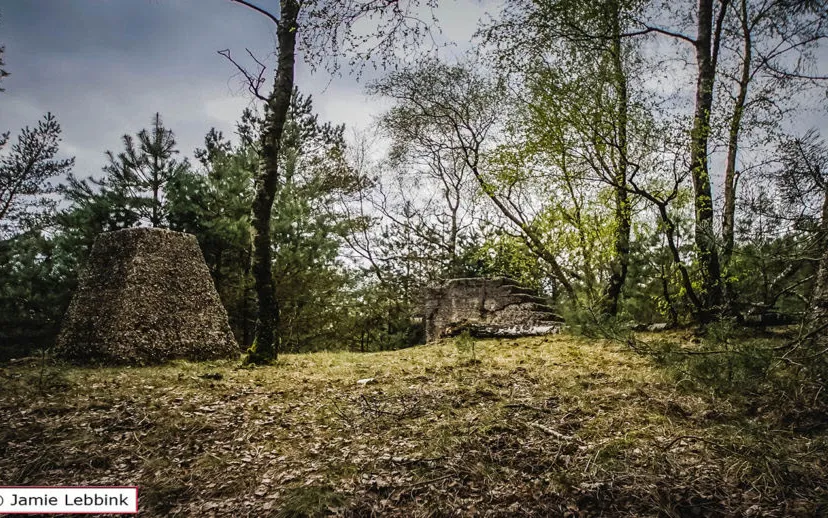 teerose radiopeilstations jamie lebbink