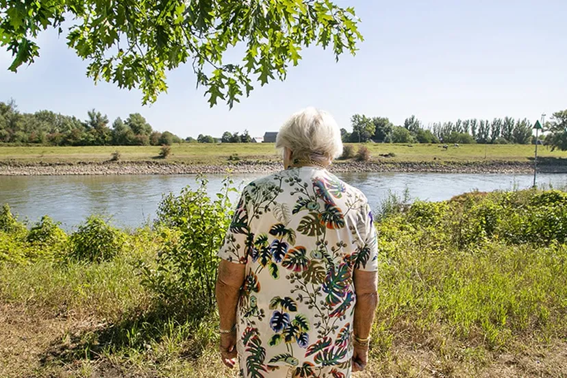 tentoonstelling terug naar huis