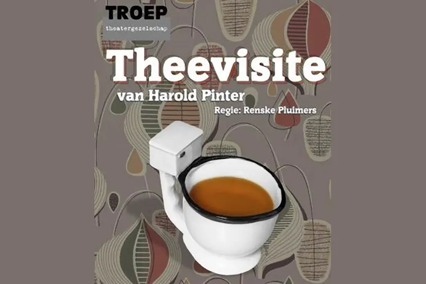 theevisite van harold pinter theatergezelschap troep laag soeren
