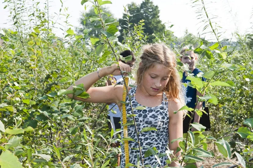 tiny forest rheden ivn nederland