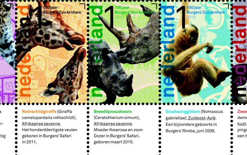 tjc3ko14ggwu0bwoq5brx6uvc 216720