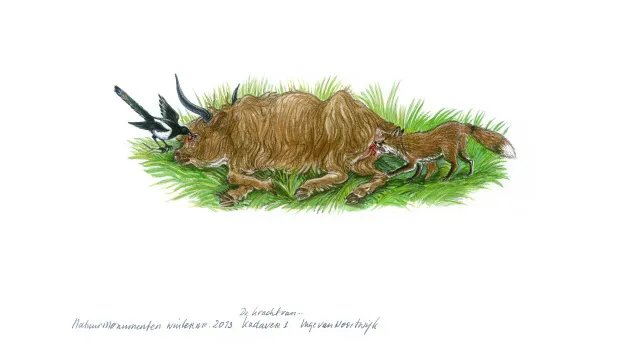 tjj2j1a2526c0yyu3a1xpqsz5 kracht van de opruimers veluwezoominge van noortwijk