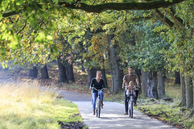 toerist in eigen regio visit veluwe