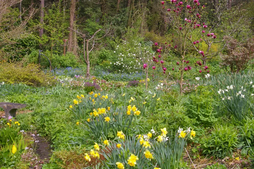 tuin familie mkel groei bloei veluwezoom