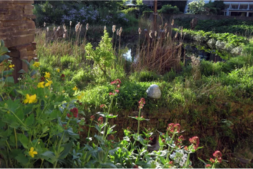 tuin van sjef truus schennink