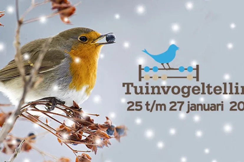 tuinvogeltelling 2019 wwwtuinvogeltellingnl 1