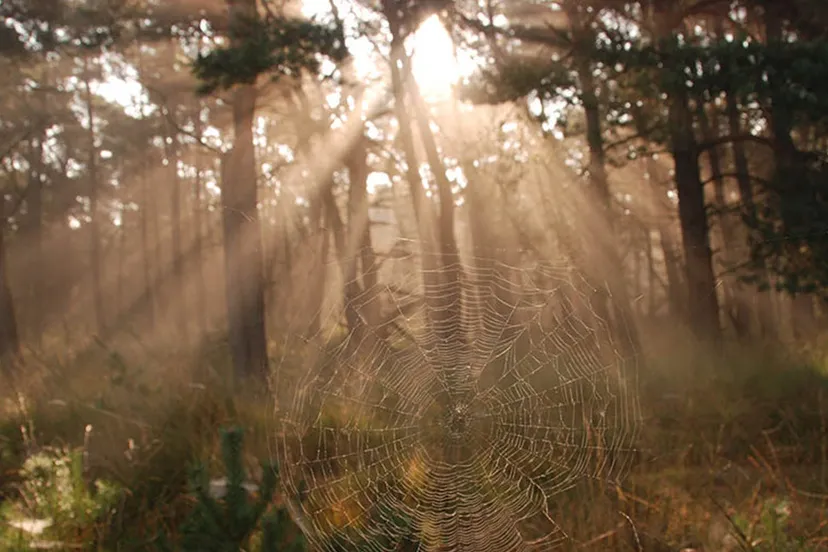 tweede gebiedsconferentie buitengebied