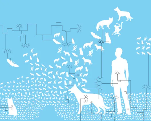 twp890g9mbn2v2k64wqac0trt 156714