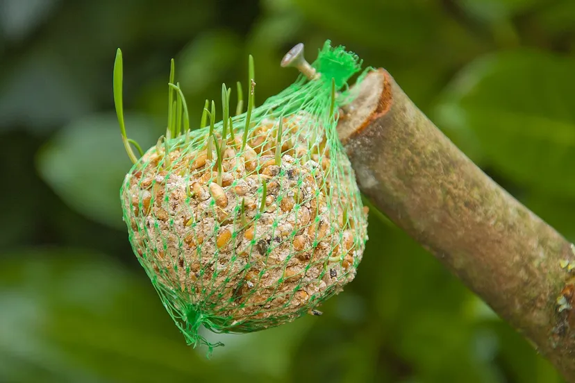 u3om6bv5gtit7ou2mi9w9brxz bdsizer lr zaadbol 1202