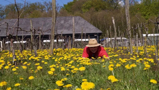 u8oqxc45drikg8m3q1z3lgz0g domein hof te dieren