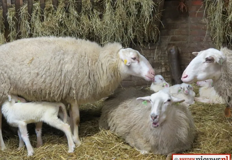 ucrgw3wlzhzdzz5cmqjs8i3a5 211681