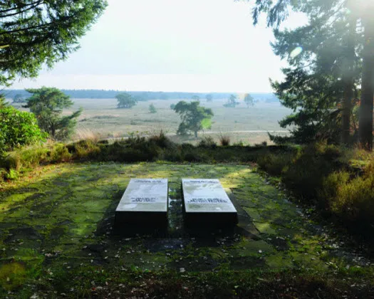 uddid83vox48as34p1rnsxo54 210960