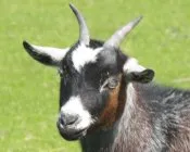 uf64gqgteicbma292d0oh2dvn 89426