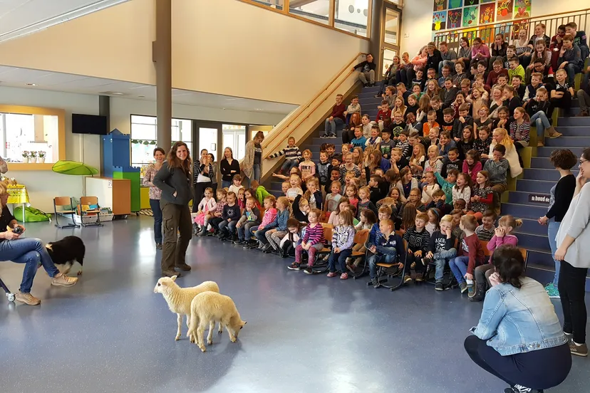 uitreiking cheque sponsorloop mauritius 2016 aan herder cynthia