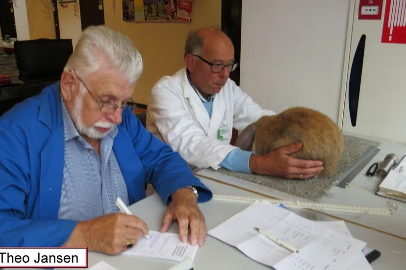 v heeckerensstraat 5 9 15 001