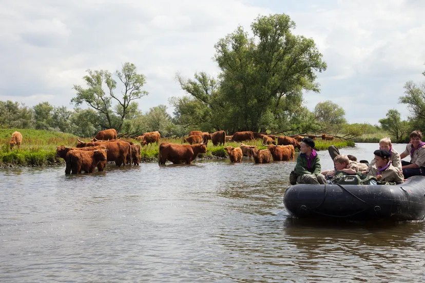 vader zoon survival weekend 1