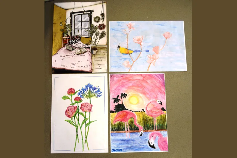 vakoverstijgende lessen marjanne eikelboom