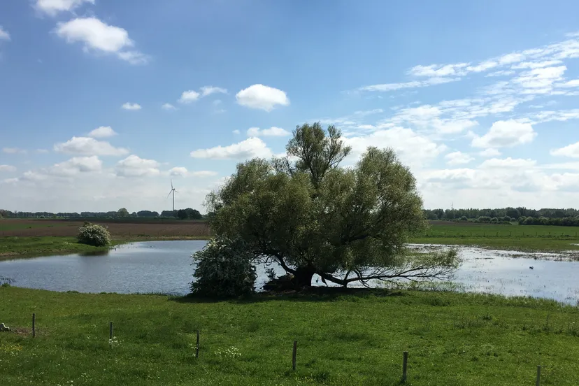 velperwaarden gerrit lammers