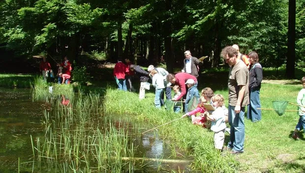 vfpg9qj8unhu91e5icareqza6 rosendael super snuffel pr foto