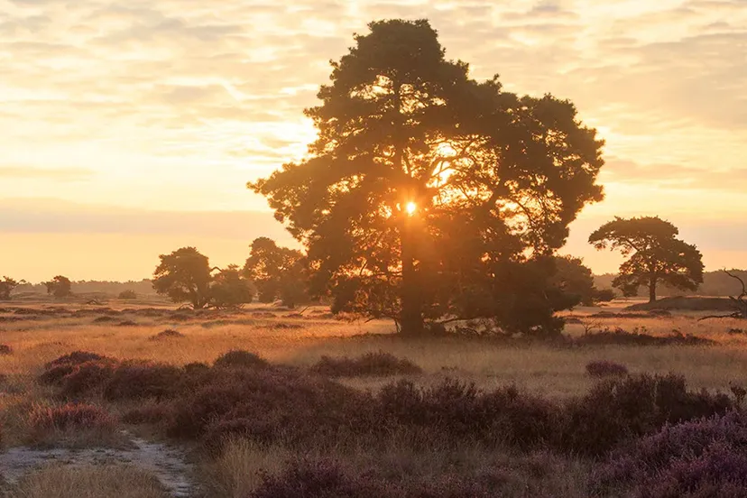 visitveluwe