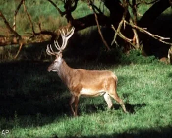 vnpg3u6zr7ymnady5cxmrh623 233511