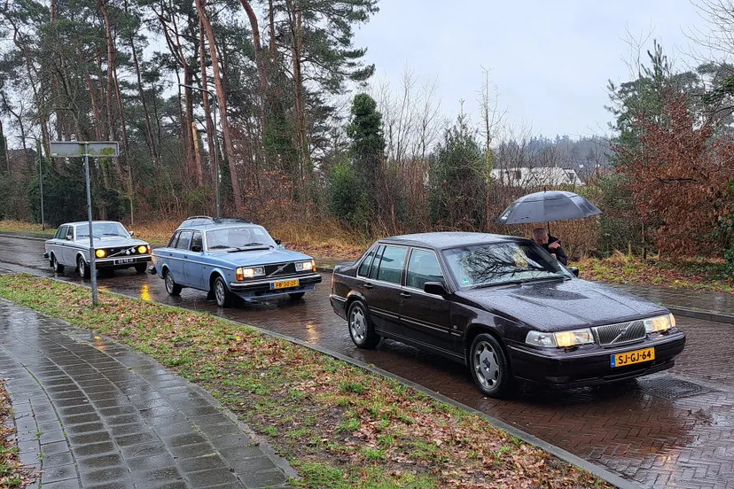 volvo klassieker vereniging snertrit 2024 dieren 1