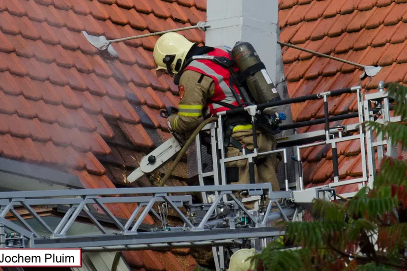 vq2aittc7m8aajduy5ubg58bv rhedennieuws 0011 9