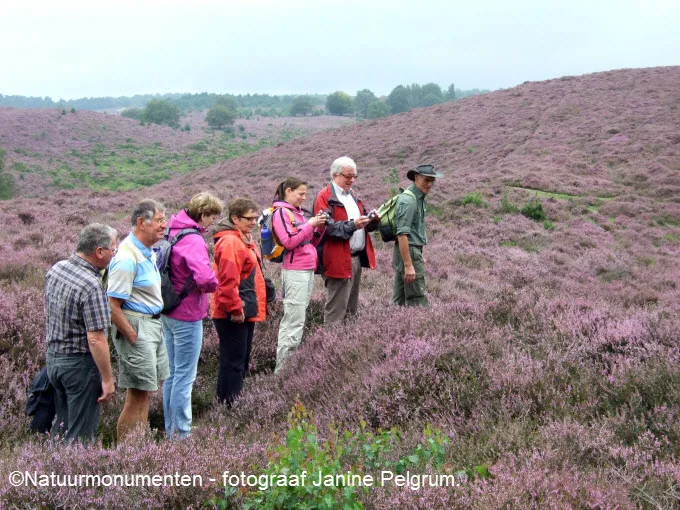 vq5dcpm8mpd6nb3zcq9js7966 163751