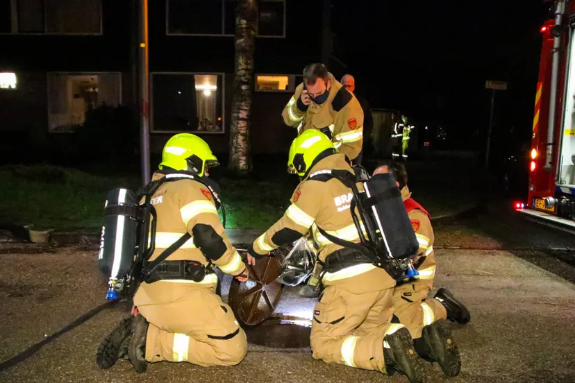 vreemde lucht dieren1 dennis van bemmel persbureau heitink