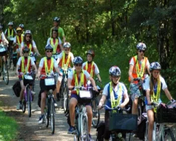 vubaqgct4i2p2ybkkvh74byy2 214719