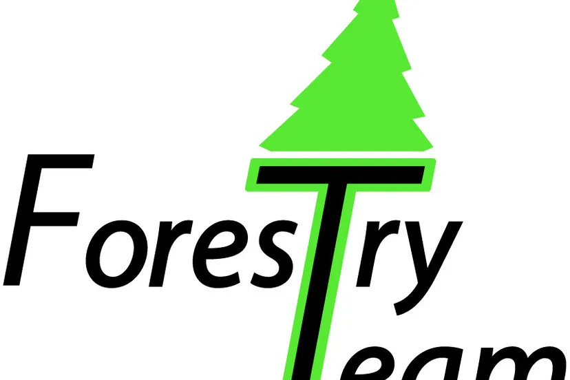 vy83m9z3qy99e7k49tue4o2sf 204435