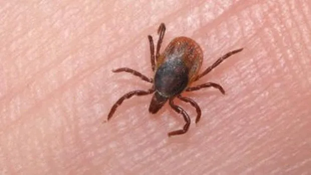 w8p09v7gh0sovibu8so76x1sr teek