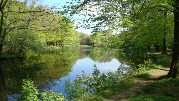 wa3wl958r78jx6dv2ngtlbv30 biljoen omgeving water 09