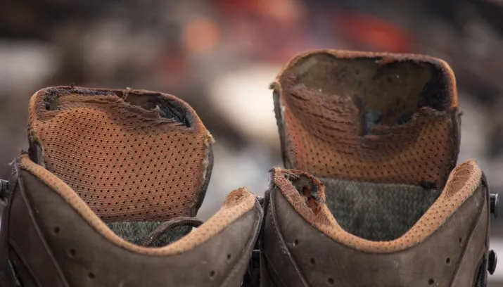 wandeling kitty terwolbeck via fotercom cc by