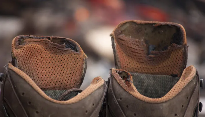 wandeling kitty terwolbeck via fotercom cc by