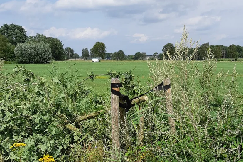 waterschap vallei veluwe bomenkap