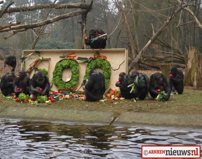 wdtyblkcp3qrm89kmre2ewdpa 222054