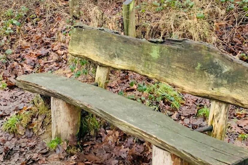 week van de hsp margaretha kuipers